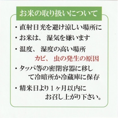 令和6年産 大山しらゆき米10kg(精白、コシヒカリ、5kg×2)