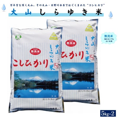 令和6年度 大山しらゆき米10kg(無洗、コシヒカリ、5kg×2)