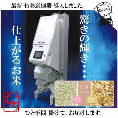 令和6年度 大山しらゆき米10kg(無洗、コシヒカリ、5kg×2)