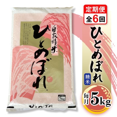 【毎月定期便】ひとめぼれ5kg全6回