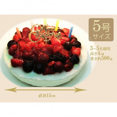 【エニシダ】クリスマスケーキ 4種のベリーチーズケーキ_0007-001-S05