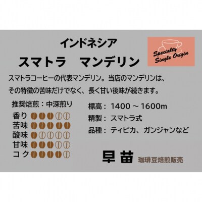 【早苗】焙煎珈琲豆(どっしりとした苦みを味わうセット3種×100g)豆_0020-005-S05-1