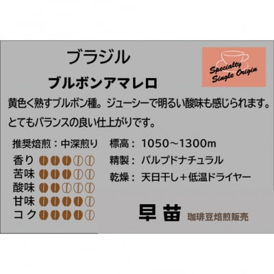 【早苗】焙煎珈琲豆(どっしりとした苦みを味わうセット3種×100g)豆_0020-005-S05-1
