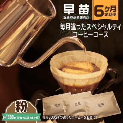 【早苗】焙煎珈琲豆(★6か月定期便★ 毎月違ったコーヒー 計6種)粉_0020-021-S05-B
