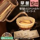 【早苗】焙煎珈琲豆(★12か月定期便★毎月違ったコーヒー 計12種)粉_0020-029-S05-B