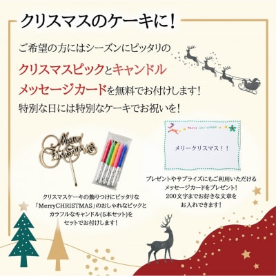 【エニシダ】クリスマスケーキ フルーツMIXチーズケーキ_0007-005-S05