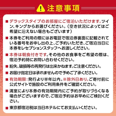 HOTEL GROOVE SHINJUKU ペア宿泊券_0066-003-S05