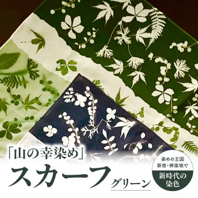 染めの王国新宿 新時代の染色 「山の幸染め」スカーフ グリーン_0049-003-S05-3