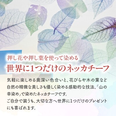 染めの王国新宿 新時代の染色 「山の幸染め」カラフルネッカチーフ_0049-004-S05