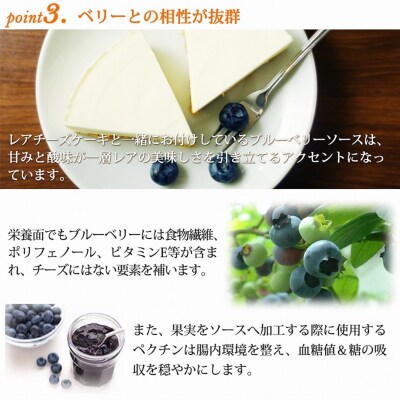 【エニシダ】糖質85%カット 低糖質レアチーズケーキ_0007-016-S05