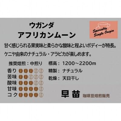 【早苗】焙煎珈琲豆(いつもと違った個性派セット　3種×各100g)粉_0020-003-S05-2