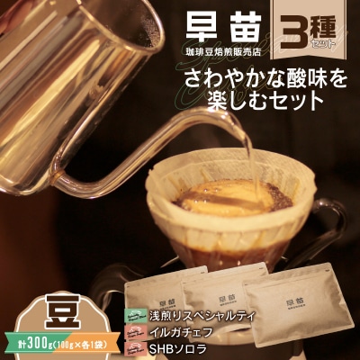 【早苗】焙煎珈琲豆(さわやかな酸味を楽しむセット　3種×各100g)豆_0020-006-S05-1