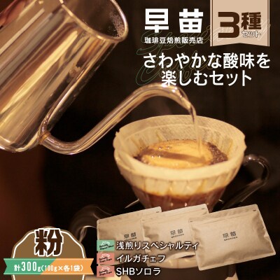 【早苗】焙煎珈琲豆(さわやかな酸味を楽しむセット　3種×各100g)粉_0020-006-S05-2