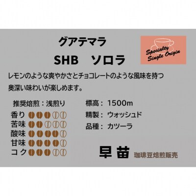 【早苗】焙煎珈琲豆(さわやかな酸味を楽しむセット　3種×各100g)粉_0020-006-S05-2