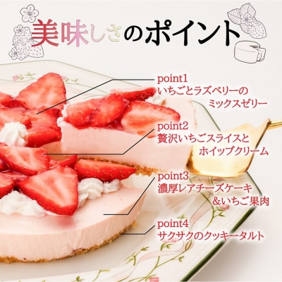 【エニシダ】クリスマスケーキ 季節のフルーツレア チーズケーキ(苺)_0007-023-S05