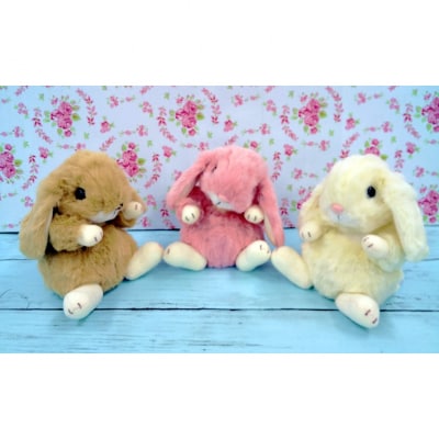 Dݓ bvC[  STCY(sN)_0045-001-S05-2