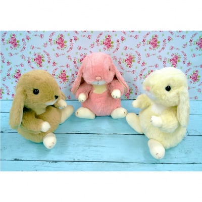 Dݓ bvC[  MTCY(sN)_0045-002-S05-2