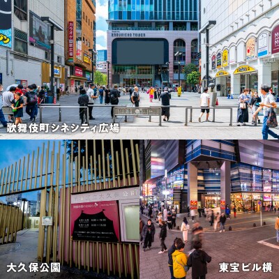 歌舞伎町安全・安心対策寄附金 1口 1,000,000円_6008-004-S06