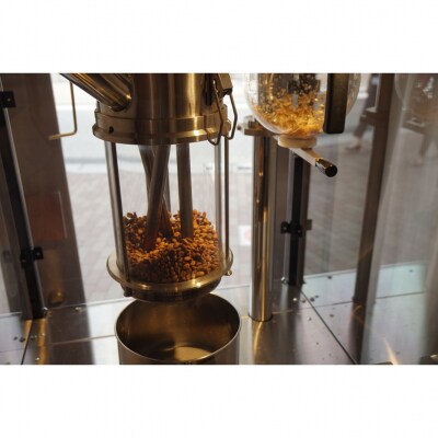 【早苗】焙煎珈琲豆(★12ヶ月定期便★ 早苗スペシャルティ)粉_0020-028-S05-B