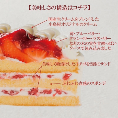 苺と木の実のショートケーキ5号_0105-005-S06