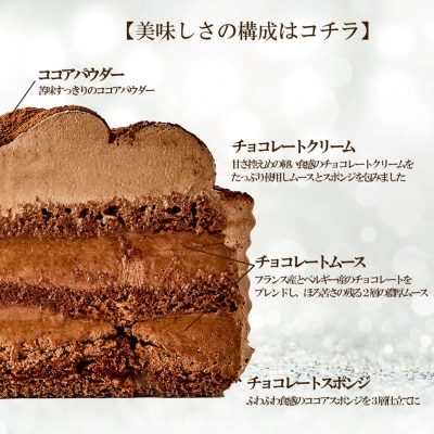 クリスマスケーキ ガトーショコラ 5号_0105-006-S06