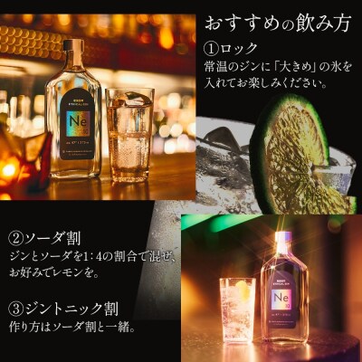 歌舞伎町エシカルジン 「Ne10(エヌイーテン)」 375ml 10本_0115-006-S06