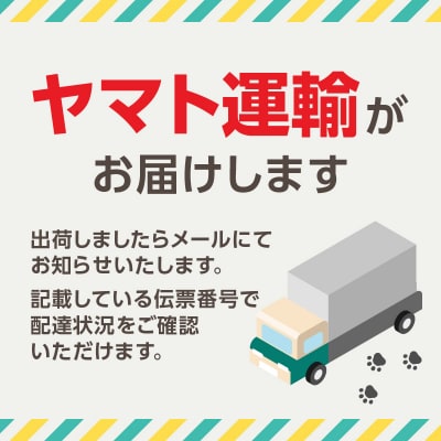 京王プラザホテル クリスマスケーキ「エグリーズ ブランシュ」_0041-034-S07