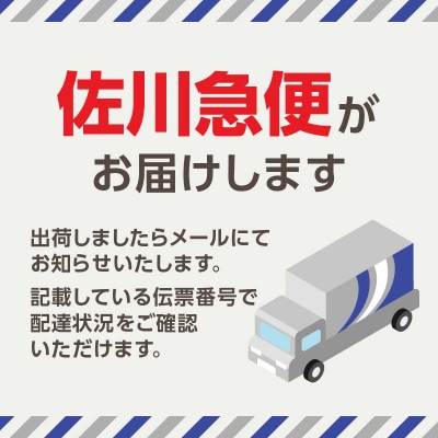有明海産一番摘のり 3袋お徳セット(焼のり<はねだし>)_0034-006-S05
