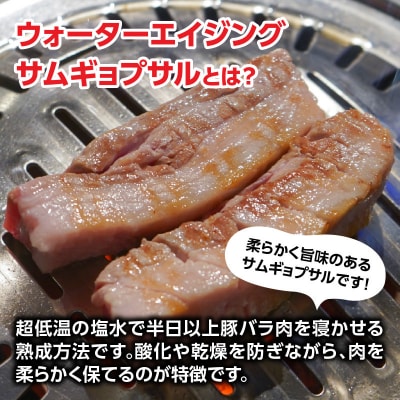 ウォーターエイジングサムギョプサル店ナンマンゴギお食事券10,000円分_0165-004-S07