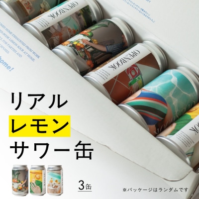 リアルレモンサワー缶_0145-001-S07