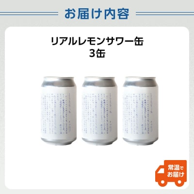 リアルレモンサワー缶_0145-001-S07