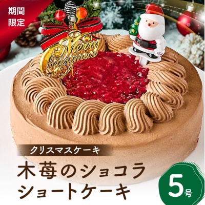 クリスマスケーキ 木苺のショコラショートケーキ 5号_0105-013-S07