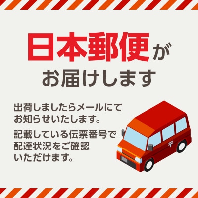 〈innowa〉ポータブルソーラーパネル グレー_0170-010-S07