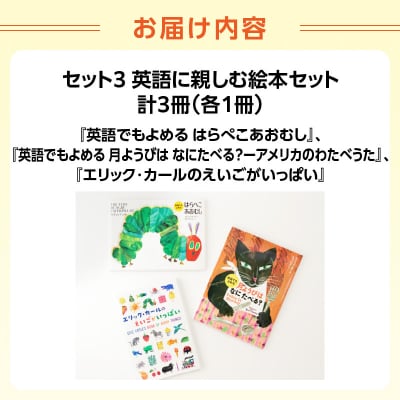 テーマ別おすすめ絵本セット【英語に親しむ絵本セット】 3歳～(偕成社)_0047-002-S07-3