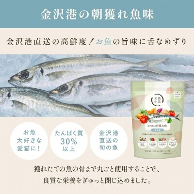 犬猫生活 キャットフード 全年齢対象 金沢港の朝獲れ魚味 750g×2袋_0185-003-S07