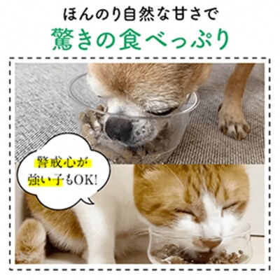 犬猫生活 犬猫兼用デンタルふりかけ 1袋(30包入)_0185-005-S07