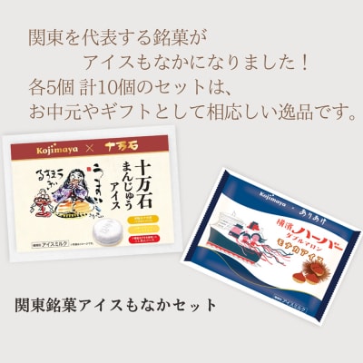 ご当地アイス詰め合わせギフト 食べ比べ (関東銘菓アイスもなかセット)_0105-019-S08