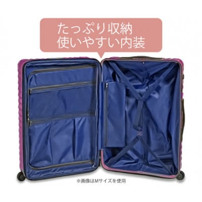 TOMAXライトキャリー スーツケース　小型ブラック　3.1kg