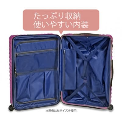 TOMAXライトキャリー　スーツケース　小型パープル　3.1kg