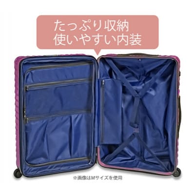 TOMAXライトキャリー　スーツケース　小型ゴールド　3.1kg