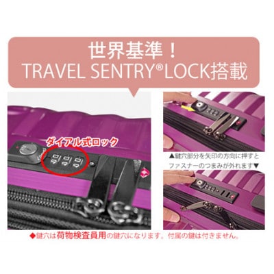 TOMAXライトキャリー　スーツケース　小型ブルー　3.1kg