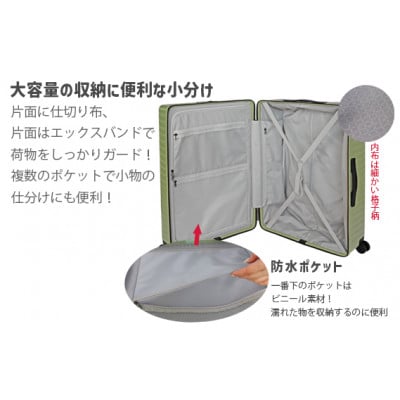Apertaライトキャリー　スーツケース　小型3.4kg　【カラー】チタニウム