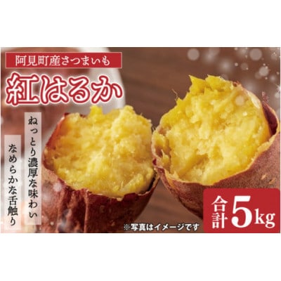 【先行予約 11月頃から順次発送】茨城県阿見町産 さつまいも 紅はるか 5kg×1箱(04-10)
