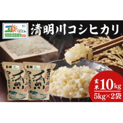 【先行予約】新米令和7年産 清明川コシヒカリ玄米5kg×2袋(04-20)