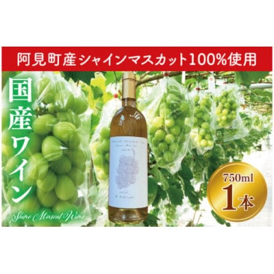 【数量限定】2022 シャインマスカット100%国産ワイン(07-04)