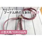 【小型犬用10kgまで】光るリード　プードル柄の反射材(ピンク)(40-12)
