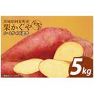 【12月下旬より順次発送】さつまいも くりかぐや5kg (90-01)