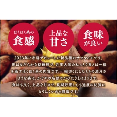 【12月下旬より順次発送】さつまいも くりかぐや5kg (90-01)