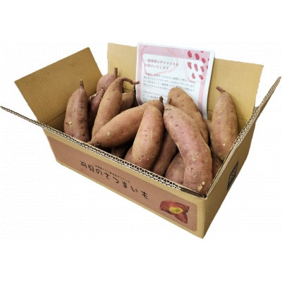 【12月下旬より順次発送】さつまいも くりかぐや5kg (90-01)