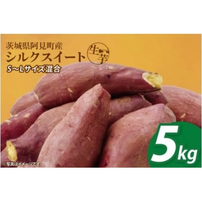 【12月下旬より順次発送】さつまいも シルクスイート5kg (90-03)